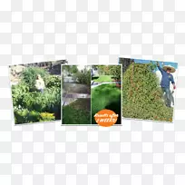 园林草生态树种人工林-空若网 园林草生态树种人工林-空若网