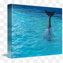 ÆÕͨ¿íÎǺ£ëàÐýÎк£ëàË®-Ë®-¿ÕÈôÍø ÆÕͨ¿íÎǺ£ëàÐýÎк£ëàË®-Ë®-¿ÕÈôÍø