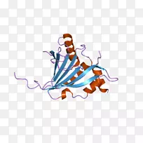 桌面壁纸,手指夹艺术.计算机-空若网 桌面壁纸,手指夹艺术.计算机-空若网