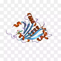 �����ֽ����ָ������.�����-������