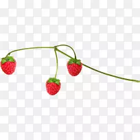 麝香草莓覆盆子食物-草莓-空若网 麝香草莓覆盆子食物-草莓-空若网