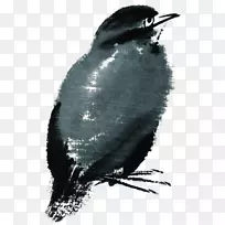 ˮ�ʻ�ˮ�ʻ�-������