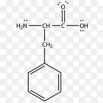 路易斯结构丙氨酸天冬氨酸氨基酸-空若网 路易斯结构丙氨酸天冬氨酸氨基酸-空若网
