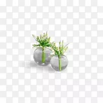 ��ƿ����������Ǧ������ƿ-������