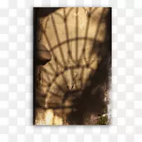 ÉãÓ°Ê÷-¿ÕÈôÍø ÉãÓ°Ê÷-¿ÕÈôÍø