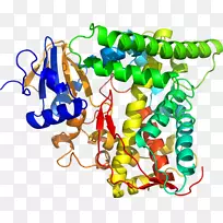 人体首饰有机体线剪贴画线-空若网 人体首饰有机体线剪贴画线-空若网