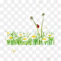 ��gis��-������