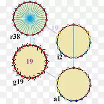 ��ӳ���ʮ�ǶԳ�Ⱥ-������