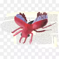 昆虫传粉器-昆虫-空若网 昆虫传粉器-昆虫-空若网