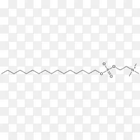 直线角线-空若网 直线角线-空若网