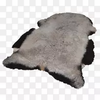 ����ëƤ-������-������