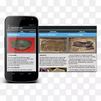 �����ֻ���׿ʷǰ����-�����ֻ�-������