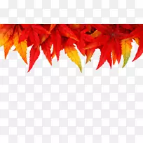 ����ף��ʥ������-���Ҷ-������