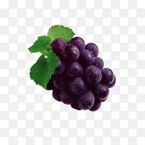 ¾Þ·åÆÏÌѹûʵÌÒ×ÓÓ£ÌÒÆÏÌÑ-¿ÕÈôÍø ¾Þ·åÆÏÌѹûʵÌÒ×ÓÓ£ÌÒÆÏÌÑ-¿ÕÈôÍø