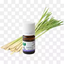 草味-空若网 草味-空若网