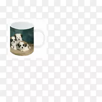 狗-空若网 狗-空若网