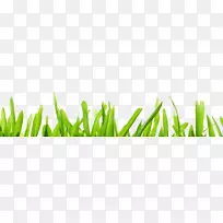 ��-������