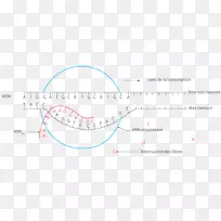 直线角动物字形线-空若网 直线角动物字形线-空若网