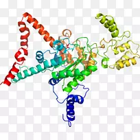 ������Ϊ���л�����������-������