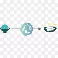 技术体珠宝.技术-空若网 技术体珠宝.技术-空若网