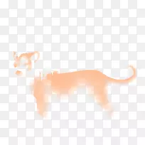 ���빷è���������ֽ��-������