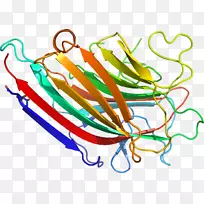 线点生物剪贴画线-空若网 线点生物剪贴画线-空若网