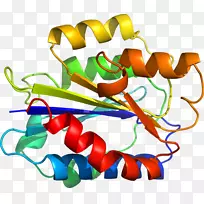 蔬菜线夹艺术-蔬菜-空若网 蔬菜线夹艺术-蔬菜-空若网