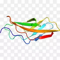 �ߵ������-��-������