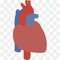 鼻夹艺术设计-空若网 鼻夹艺术设计-空若网