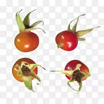 海滩玫瑰多花番茄红玫瑰臀部-空若网 海滩玫瑰多花番茄红玫瑰臀部-空若网