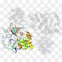 ��ľ������-��-������