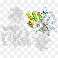平面设计卡通片艺术设计-空若网 平面设计卡通片艺术设计-空若网