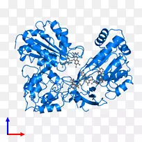 线点生物剪贴画线-空若网 线点生物剪贴画线-空若网