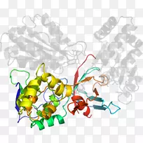 ����ͼ����ƿ�ͨ����������-������