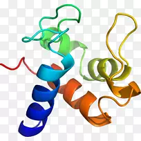人体珠宝有机体剪贴画设计-空若网 人体珠宝有机体剪贴画设计-空若网