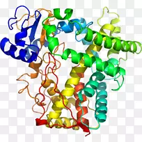 人体首饰有机体线剪贴画线-空若网 人体首饰有机体线剪贴画线-空若网