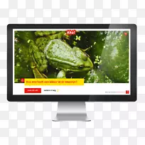 两栖电脑显示器显示广告多媒体两栖动物-空若网 两栖电脑显示器显示广告多媒体两栖动物-空若网