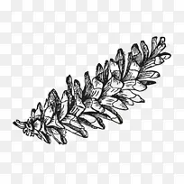 树木绘制昆虫/m/02csf h&m-tree-空若网 树木绘制昆虫/m/02csf h&m-tree-空若网