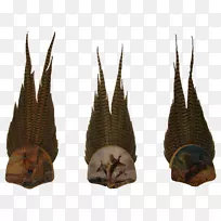 野鸡尾若虫-空若网 野鸡尾若虫-空若网