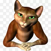 胡须哈瓦那棕色小猫家短毛猫鼻子小猫-空若网 胡须哈瓦那棕色小猫家短毛猫鼻子小猫-空若网