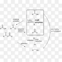 �ļ��׵����-������