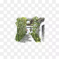 树草科-空若网 树草科-空若网