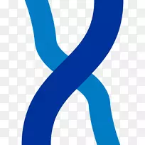 标志品牌线字体线-空若网 标志品牌线字体线-空若网