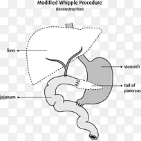 加拿大数学学会-空若网 加拿大数学学会-空若网