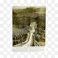 摄影画框树-空若网 摄影画框树-空若网