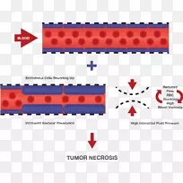 铅化合物普莱布林超春制药公司小分子化学化合物铅化合物-空若网 铅化合物普莱布林超春制药公司小分子化学化合物铅化合物-空若网