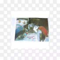 纺织品-玛丽教皇奥斯本-空若网 纺织品-玛丽教皇奥斯本-空若网