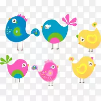 摄影插图-鸟类-空若网 摄影插图-鸟类-空若网