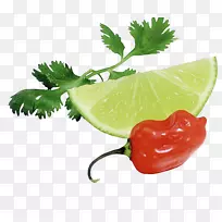 �����ľ��ɫ�����ʰ˽��߲����ʺ���-������