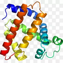 �����鱦���л����������-������